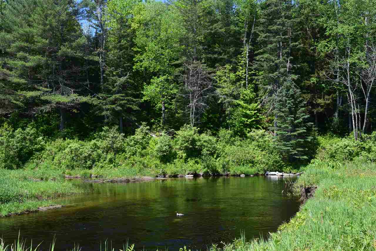 White Road Dalton, NH 03598 - Photo 7 of 26