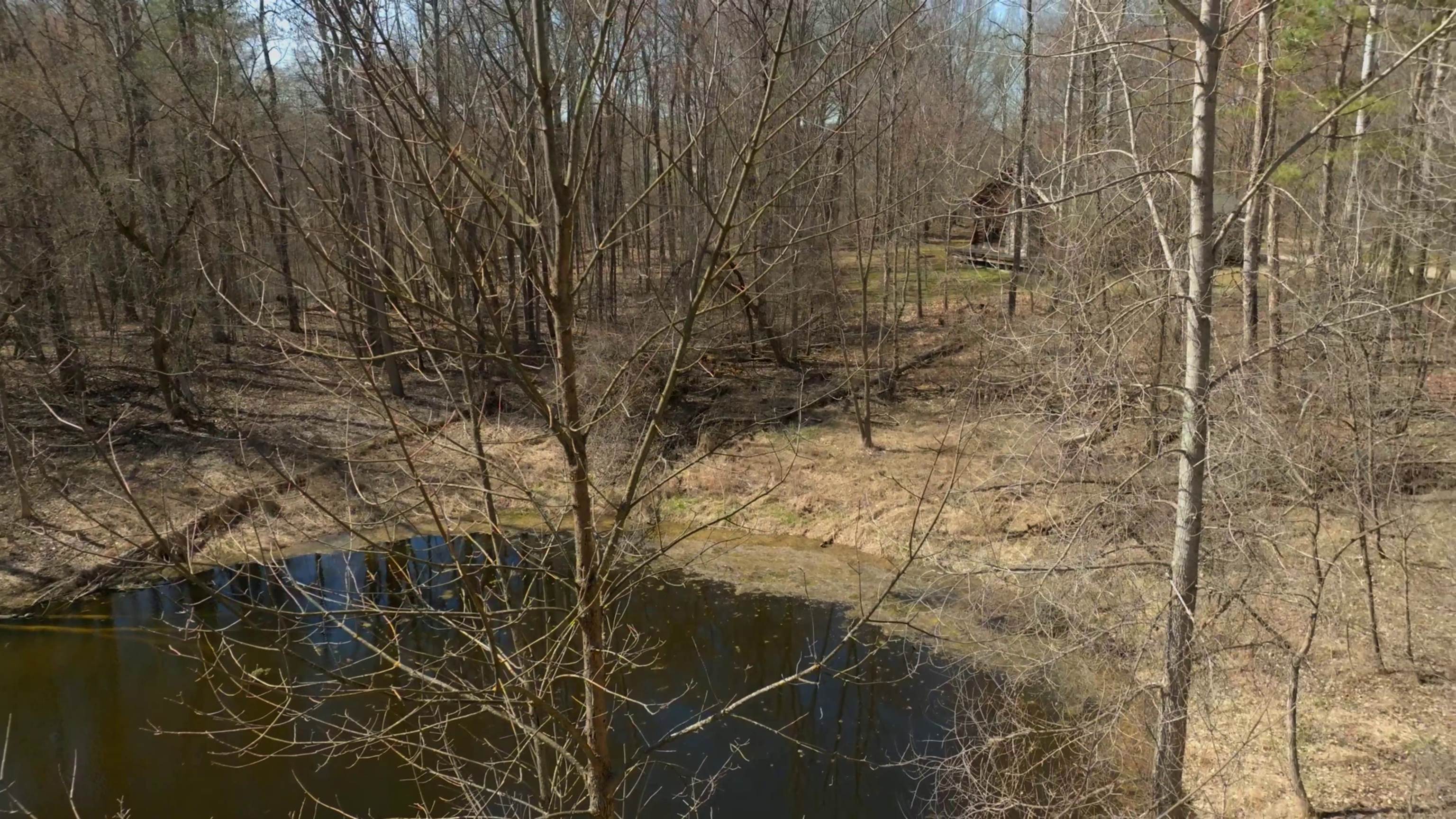3757 Pratt Lake Road Gladwin, MI 48624 - Photo 32 of 37