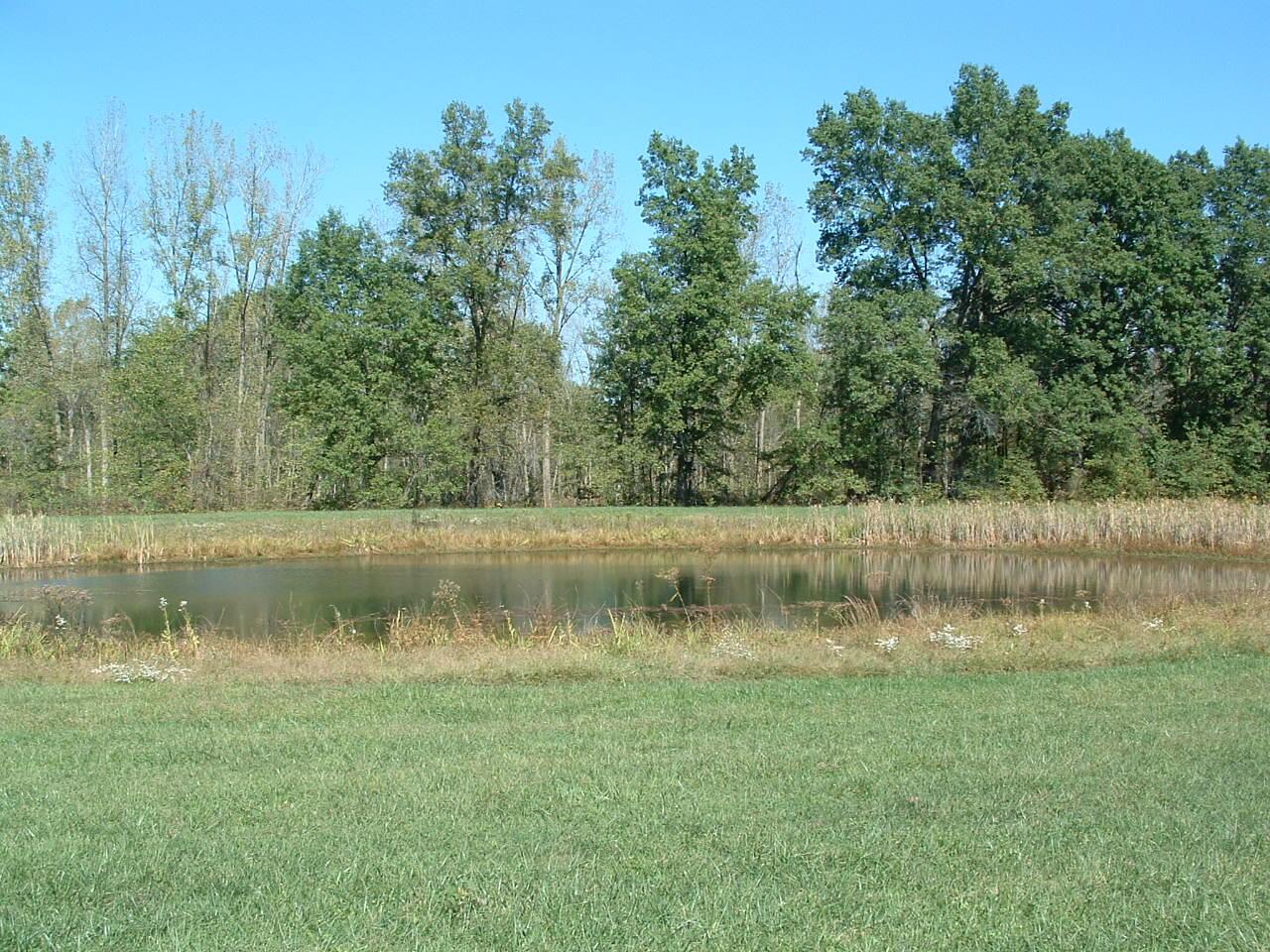 0 Nichols Lane Road Northwest Johnstown, OH 43031 - Photo 10 of 22 DSCF0007