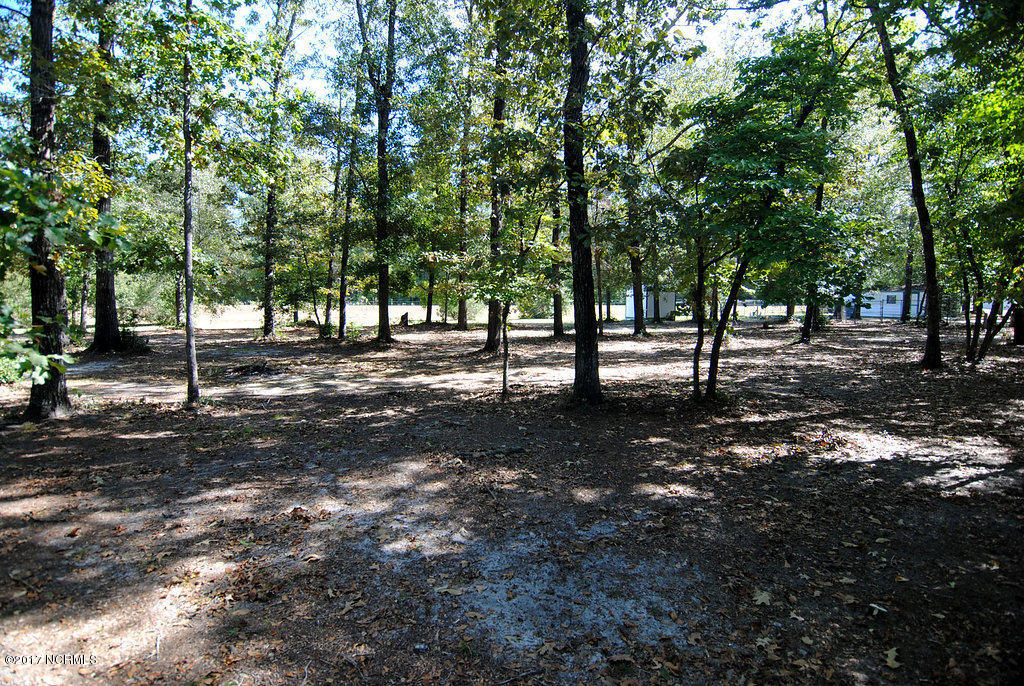 3970 Ivanhoe Road Ivanhoe, NC 28447 - Photo 30 of 33 DSC_0905