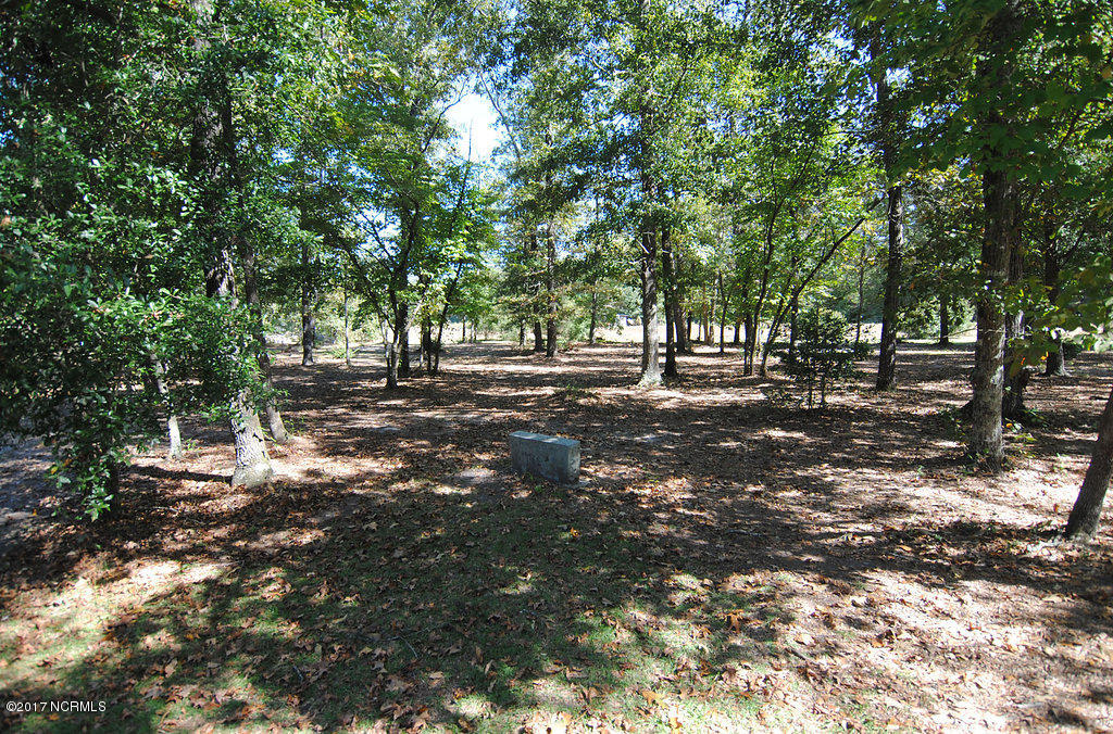3970 Ivanhoe Road Ivanhoe, NC 28447 - Photo 31 of 33 DSC_0906