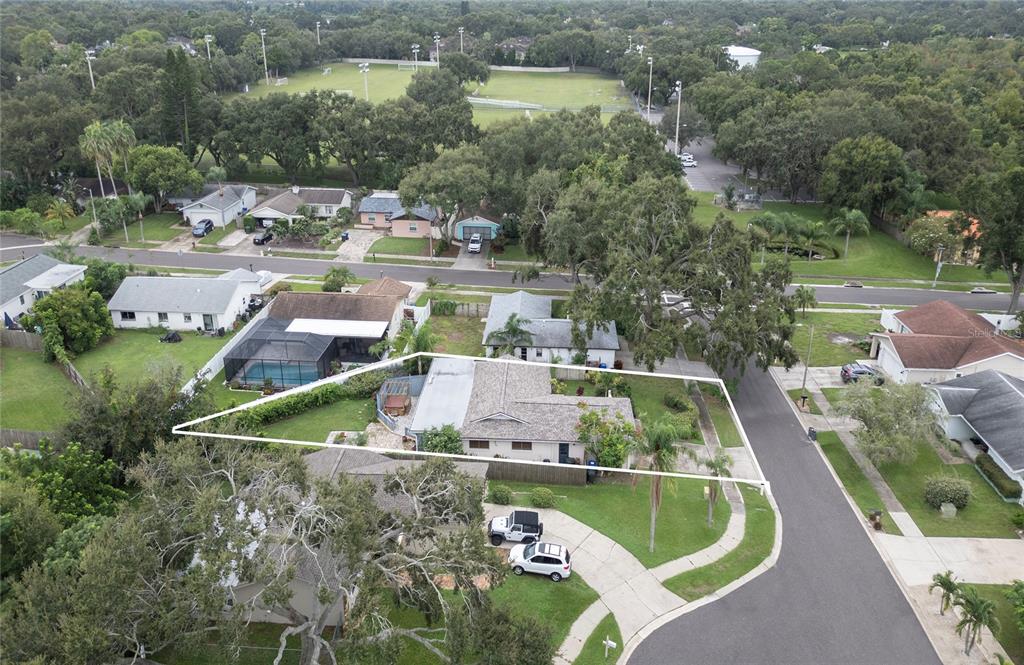 1007 Vineyard Court Dunedin, FL 34698 - Photo 48 of 51