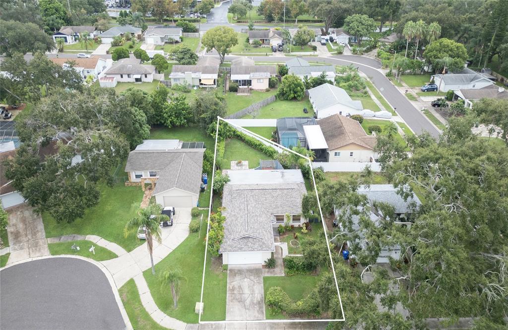 1007 Vineyard Court Dunedin, FL 34698 - Photo 50 of 51