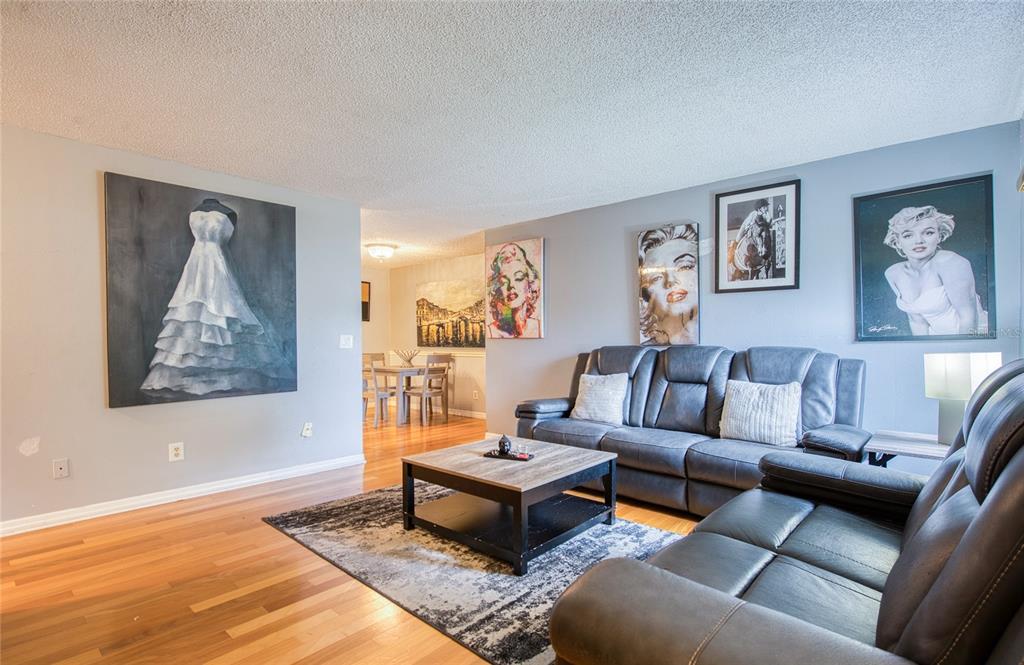 1007 Vineyard Court Dunedin, FL 34698 - Photo 6 of 51