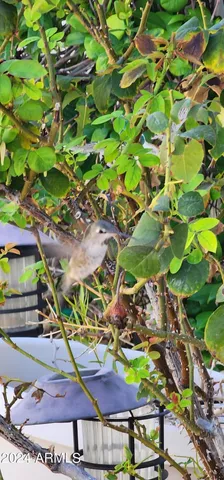 $74,900 | 2233 East Behrend Drive, Unit 41, Phoenix, AZ 85024