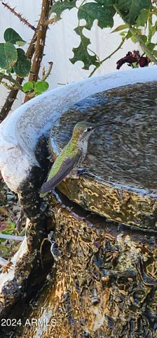 $74,900 | 2233 East Behrend Drive, Unit 41, Phoenix, AZ 85024