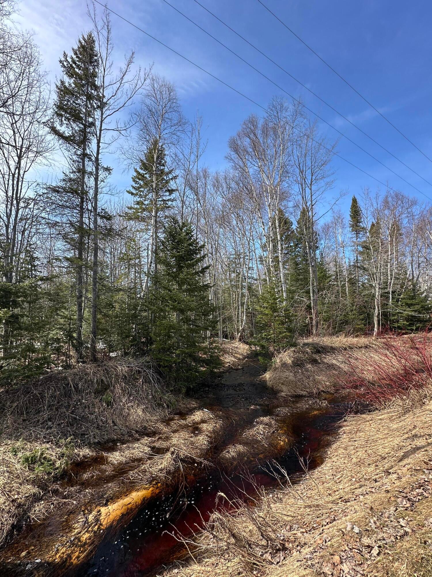 10170 North Whitefish Point Road Paradise, MI 49768 - Photo 22 of 26 Gallery Image 22