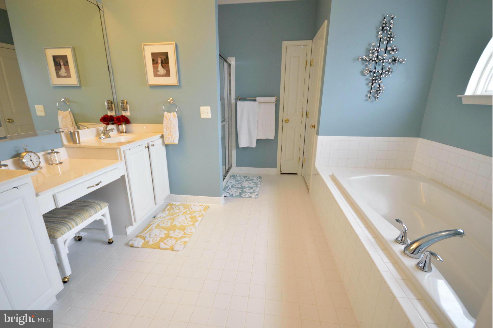 9018 Roaring Spring Loop Bristow, VA 20136 - Photo 21 of 30 Bath (Master)