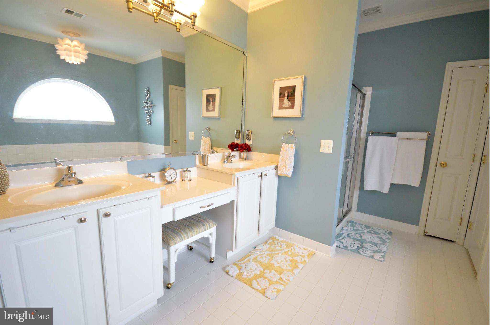 9018 Roaring Spring Loop Bristow, VA 20136 - Photo 22 of 30 Bath (Master)
