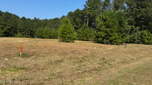 $600,000 | 1 Highway 35, Carthage, MS 39051