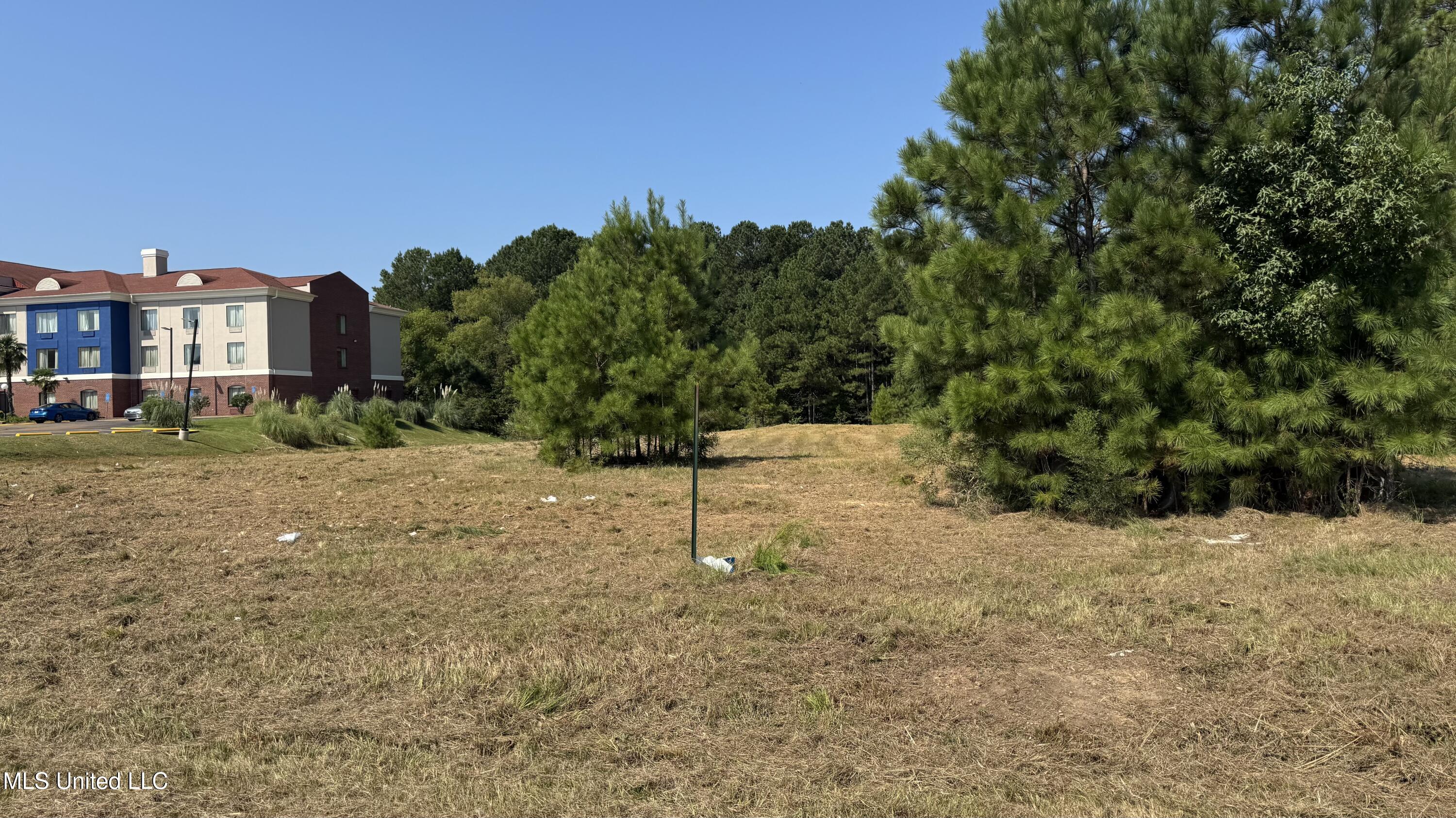 1 Highway 35 Carthage, MS 39051 - Photo 2 of 4 IMG_3664