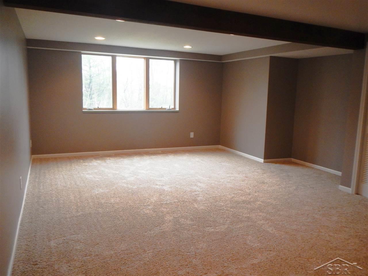 11210 Dice Road Freeland, MI 48623 - Photo 41 of 45 31288309-40.JPG