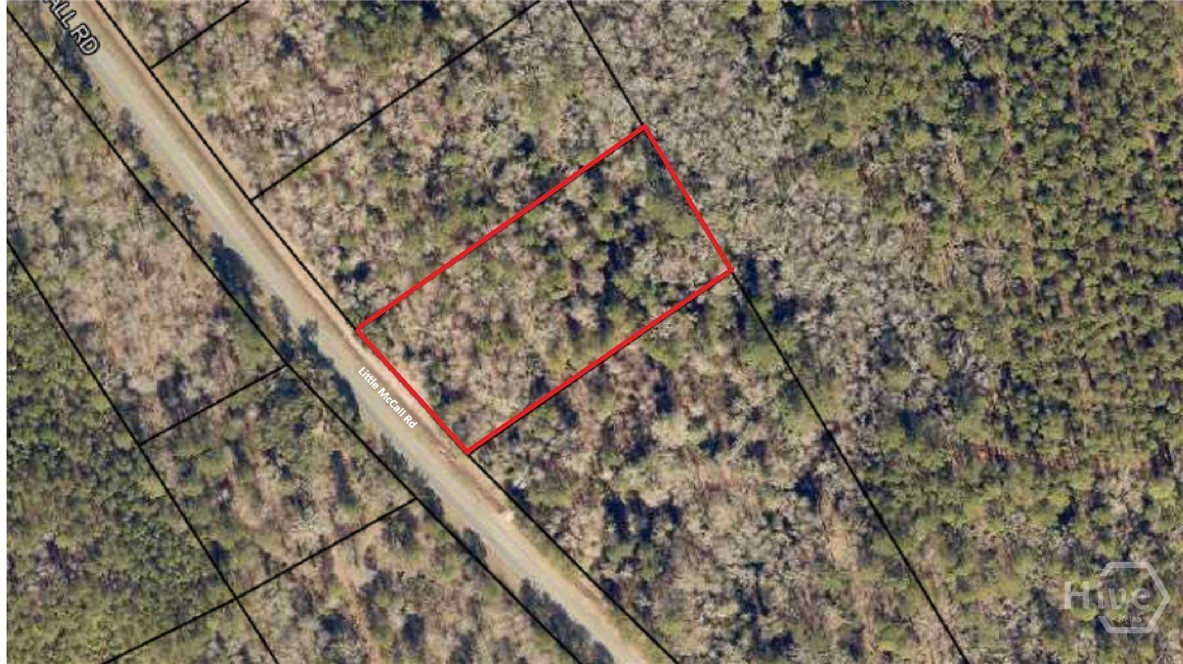 4 Little McCall Road Guyton, GA 31312 - Photo 12 of 12 Approx. lines