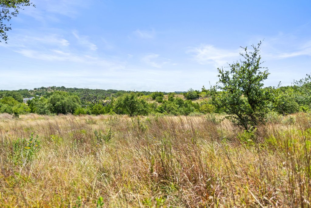 207 Verbena Road Johnson City, TX 78636 - Photo 9 of 40 A sprawling natural landscape awaits your vision, offering verdant trees and open land.