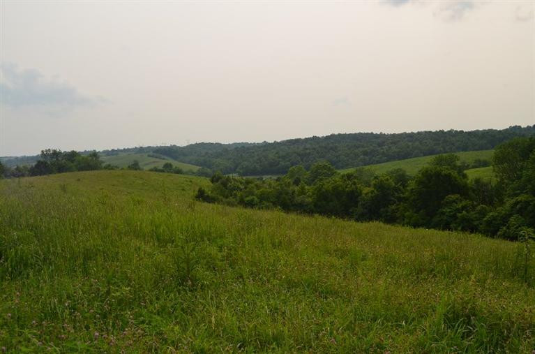 3162 Deep Creek Road Perryville, KY 40468 - Photo 17 of 21 Photo 17