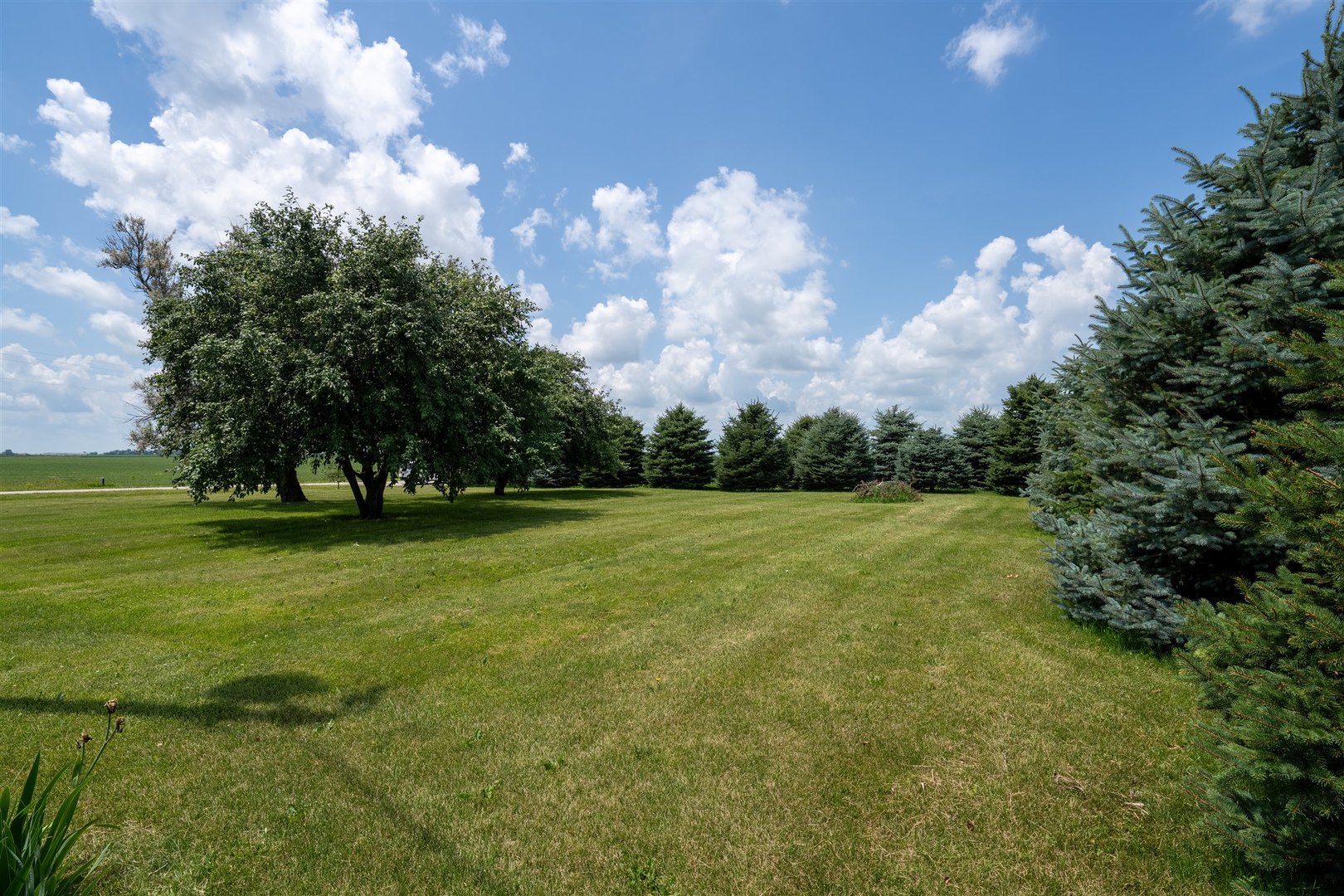 32931 East 1000 N Road Chatsworth, IL 60921 - Photo 39 of 42 a view of a golf course with a trees