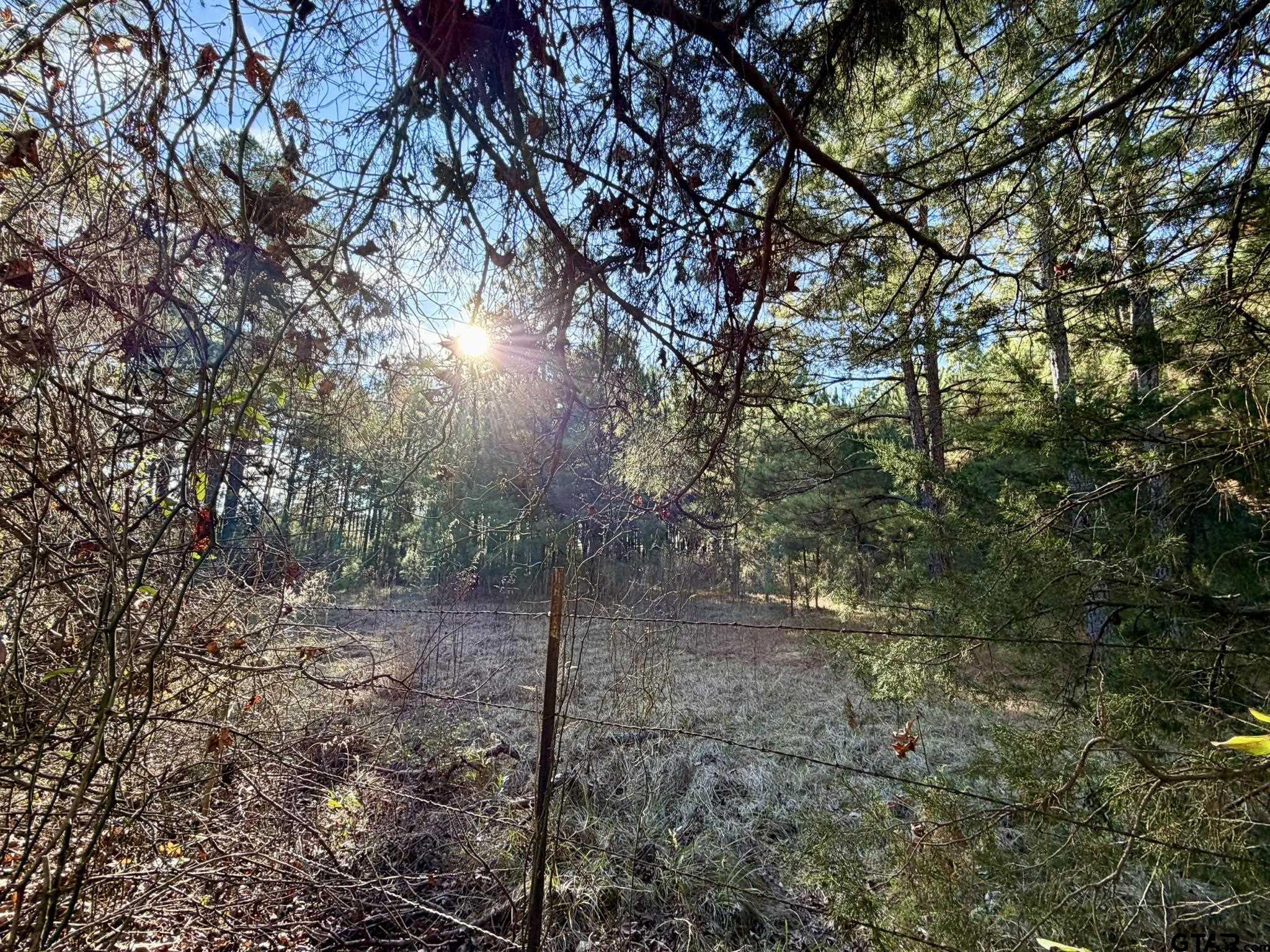 0 Brad Spann Road Waskom, TX 75692 - Photo 4 of 5 a view of forest