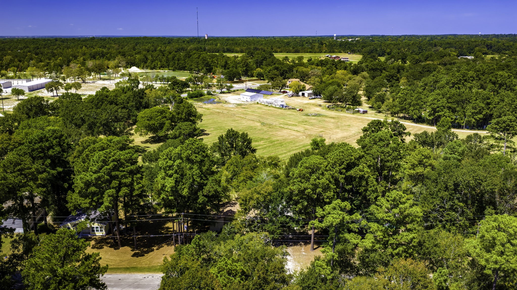 81 Westlake Road Trinity, TX 75862 - Photo 21 of 25 Expansive open land surrounded by lush greenery offers a serene and private setting, ideal for building your dream home or enjoying outdoor activities.
