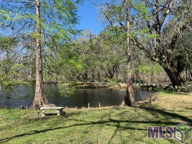 10255 Barringer Foreman Road Baton Rouge, LA 70809 - Photo 25 of 30 Gallery Image 25