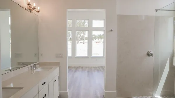 a bathroom with a sink a mirror and a shower