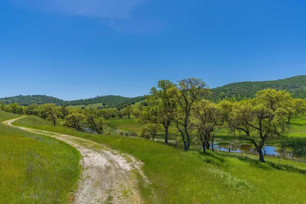 a view of lake with green space