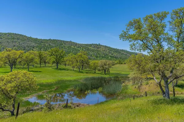 a view of a grassy area with an trees