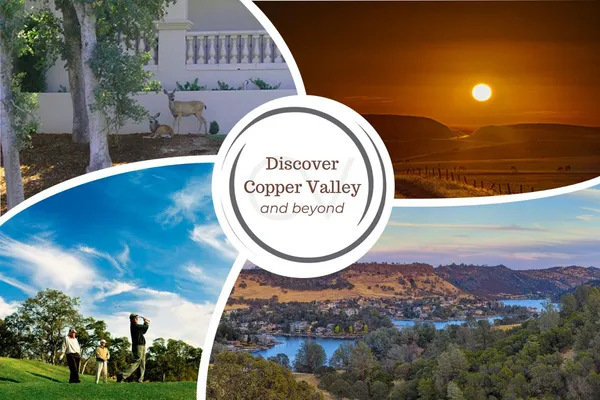 a view of a swimming pool with a yard