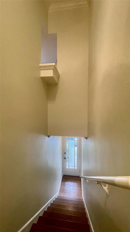 5347 Lewis Street, Unit 5345 Dallas, TX 75206 - Photo 12 of 32