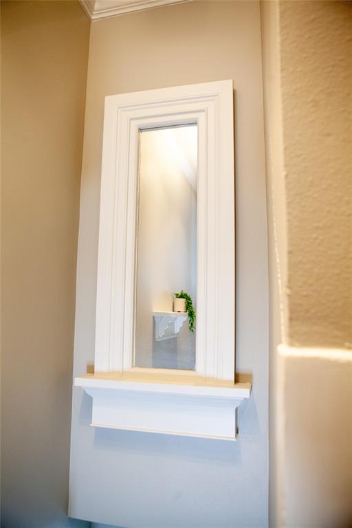 5347 Lewis Street, Unit 5345 Dallas, TX 75206 - Photo 30 of 37 Plant shelf ready for its close up!