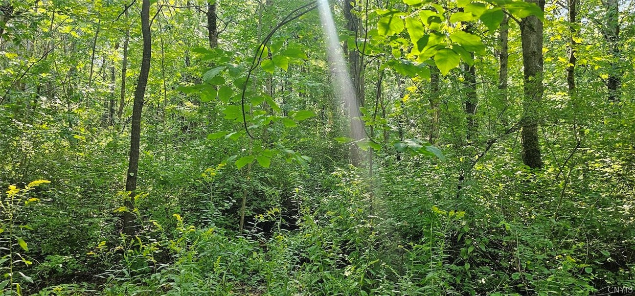 Creamery Road Richford, NY 13835 - Photo 15 of 35 Gallery Image 15