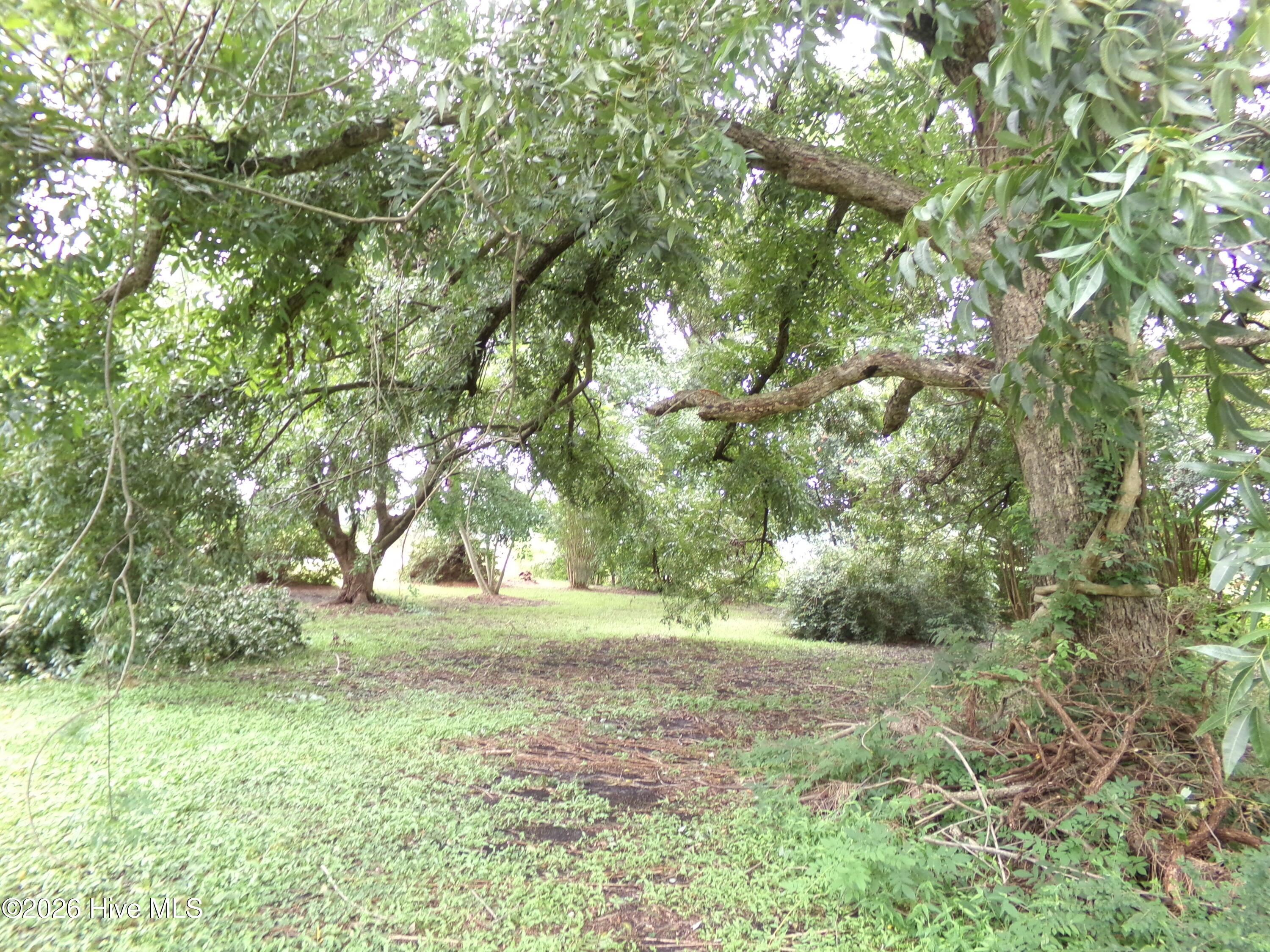 2862 East White Pond Road Fairmont, NC 28340 - Photo 7 of 21 NIce shaded area to sit under