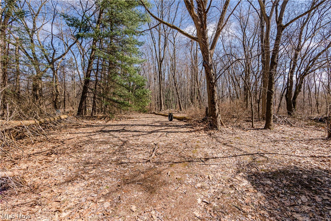 2293 Pressler Road Akron, OH 44312 - Photo 29 of 35