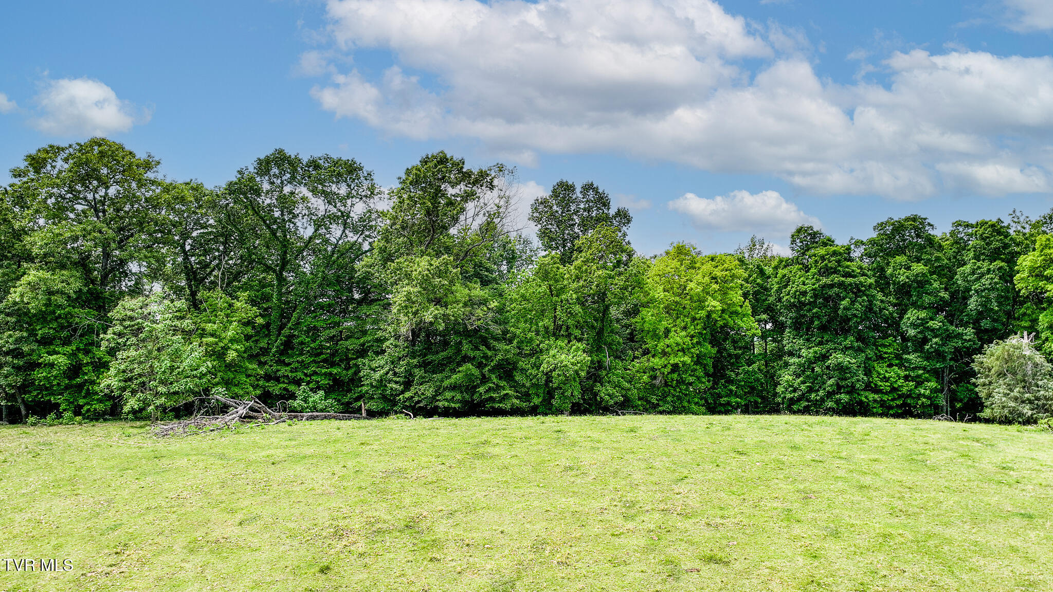 120 Jim Ford Road Jonesborough, TN 37659 - Photo 63 of 81 63