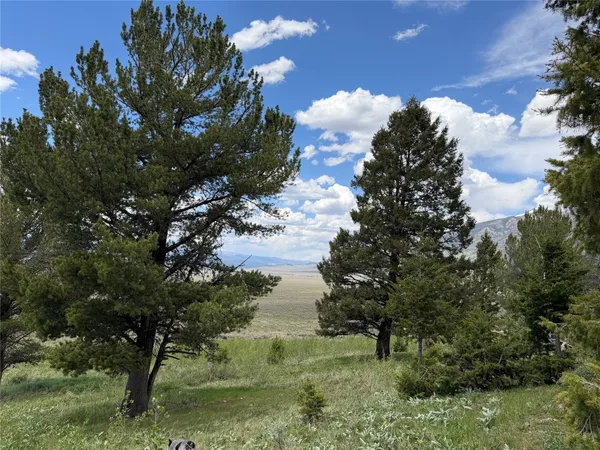 $599,000 | Lot 2-4a Continental Divide Road, Cameron, MT 59720