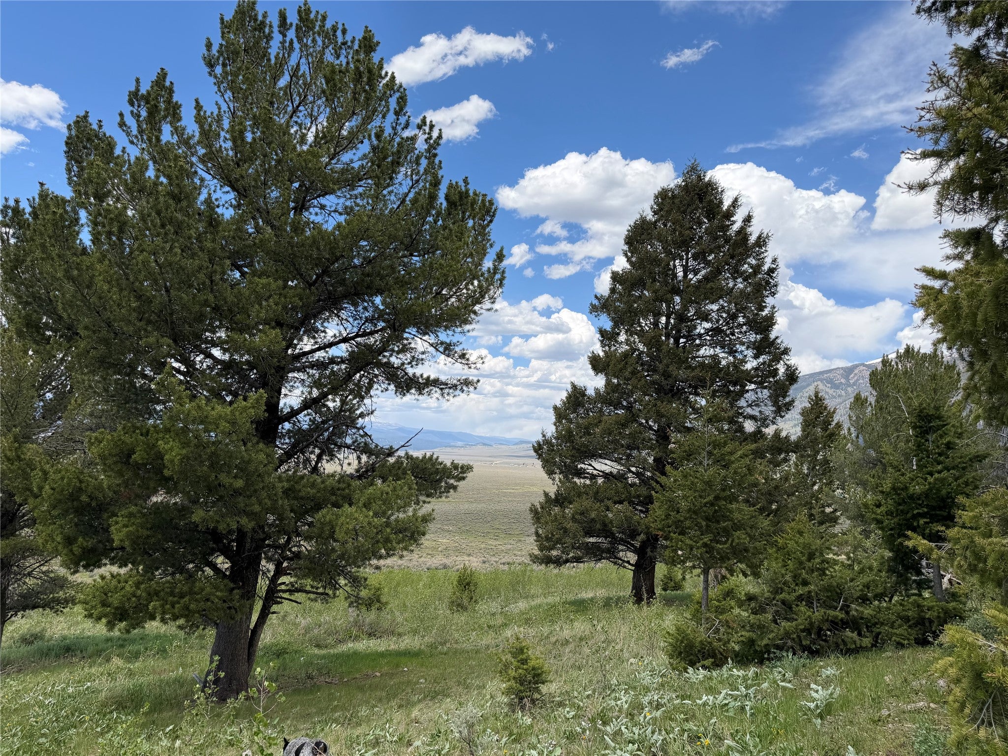 Lot 2-4a Continental Divide Road Cameron, MT 59720 - Photo 1 of 31 Gallery Image 1