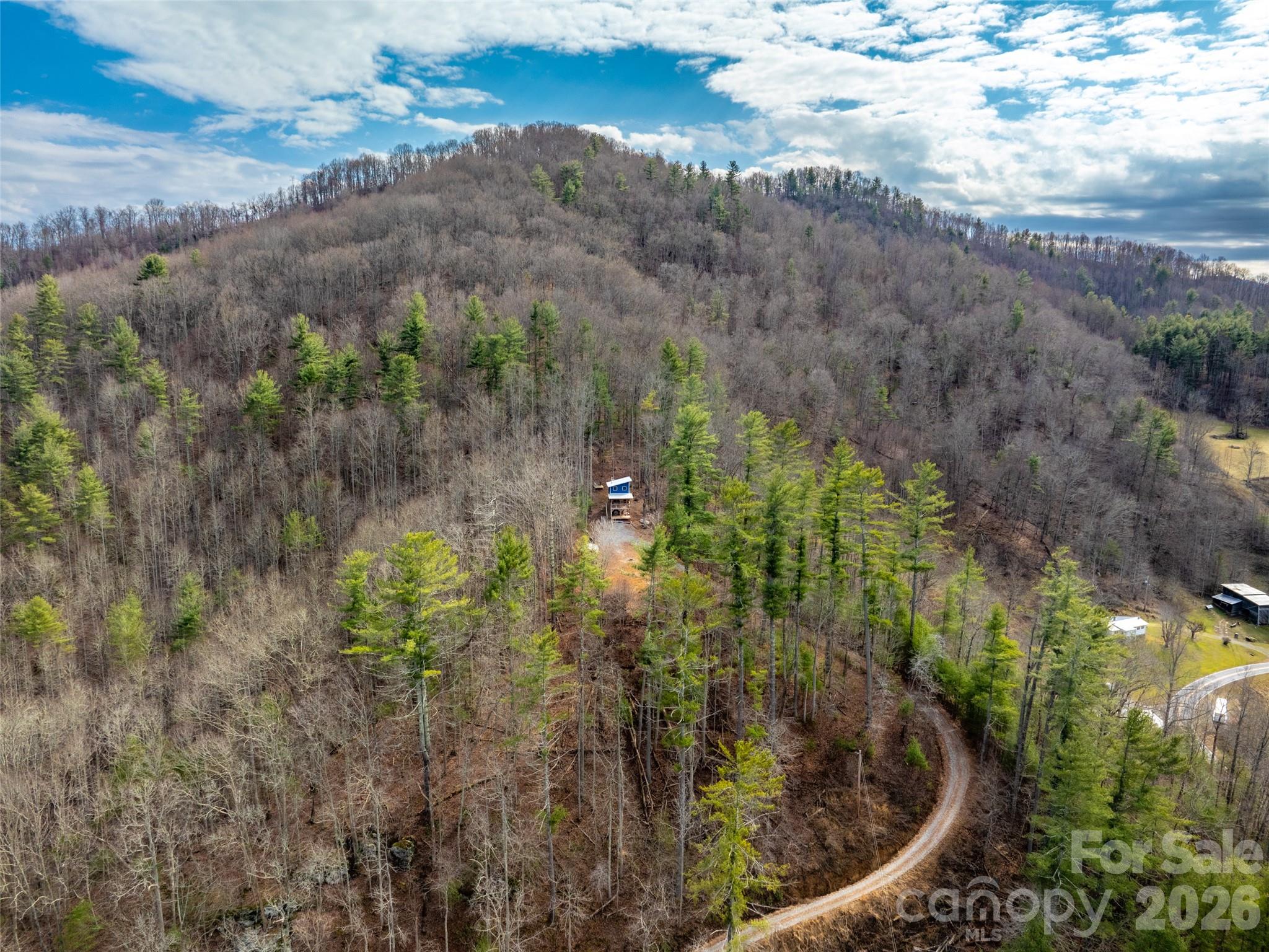 2504 Upper Paw Paw Road Marshall, NC 28753 - Photo 41 of 41