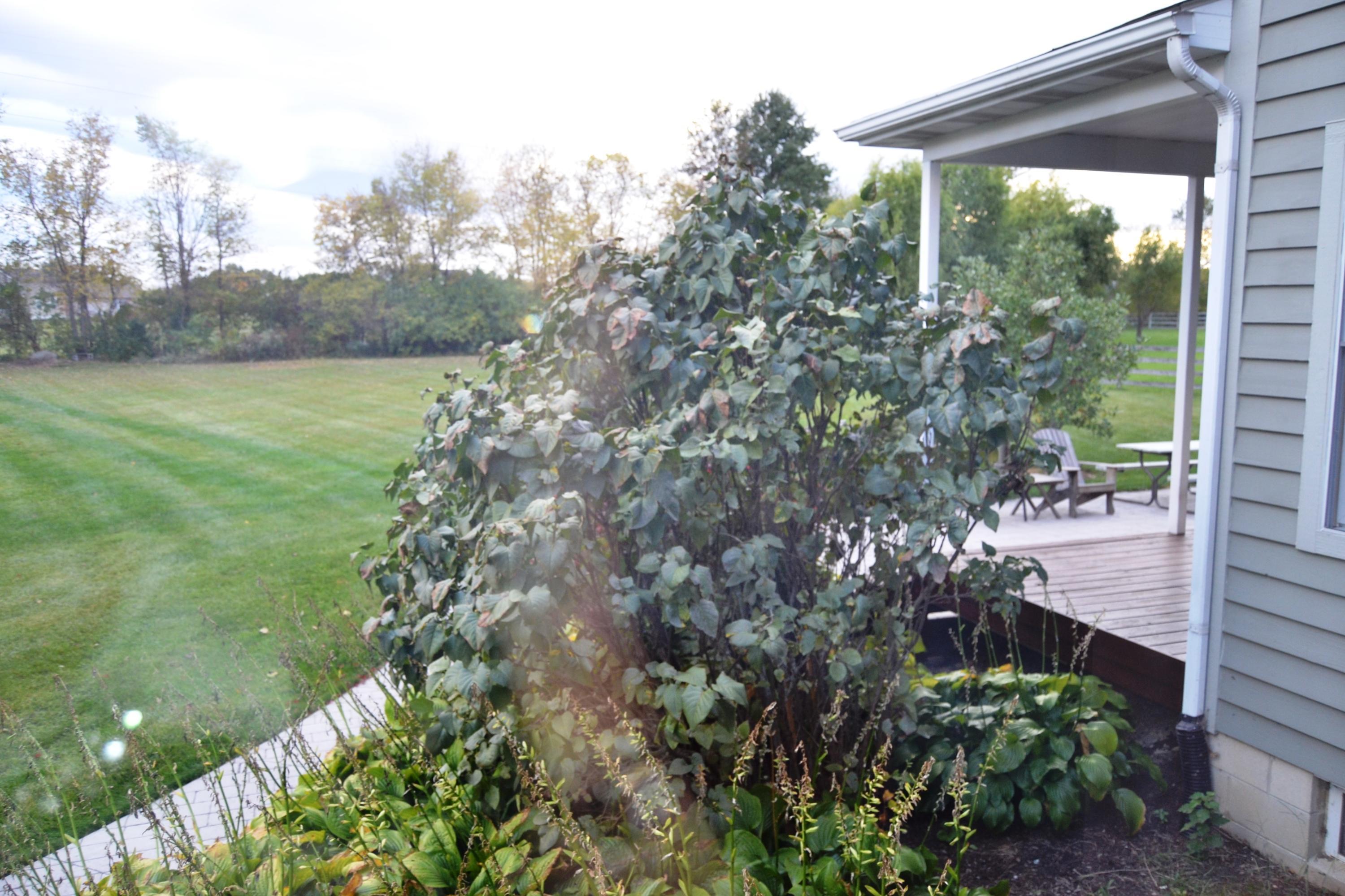 3776 Curve Road Delaware, OH 43015 - Photo 24 of 24