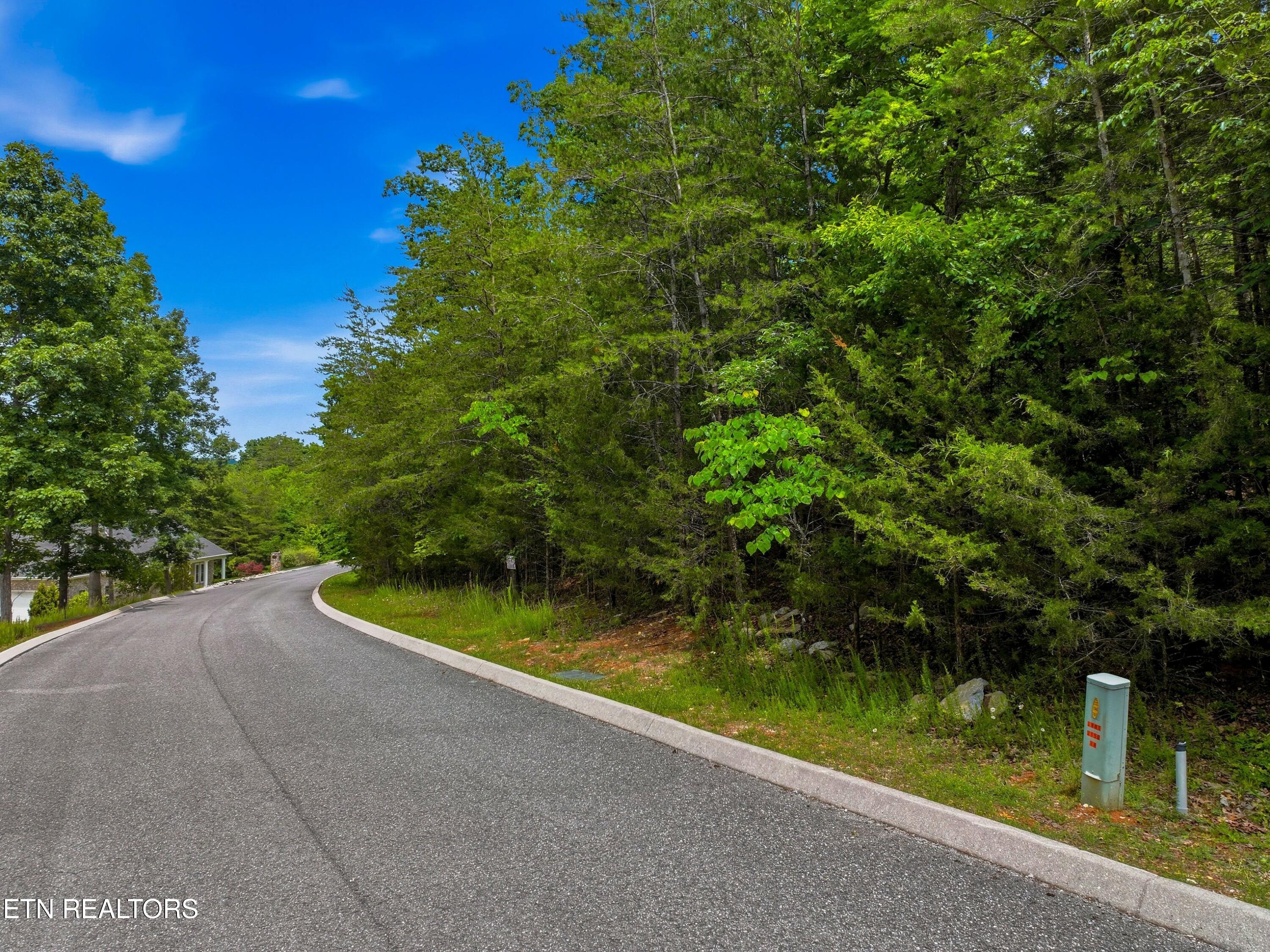 Lot 110 Eagles Ridge Tazewell, TN 37879 - Photo 4 of 17 004-EaglesRidge-Tazewell-TN-37879-SMALL