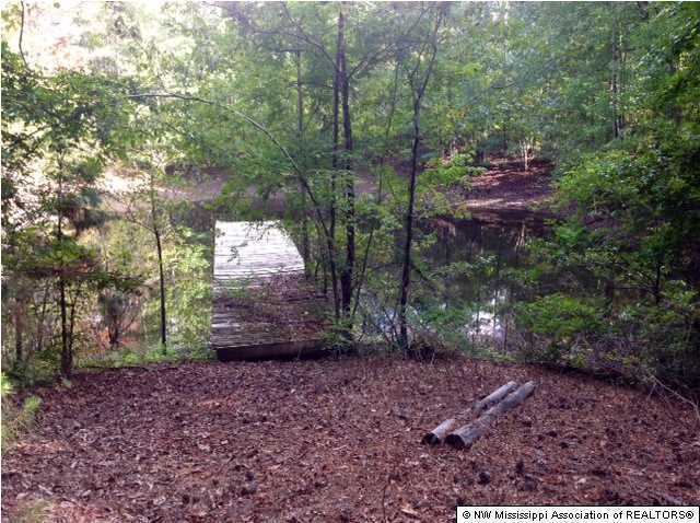 125 Medlock Road Ashland, MS 38603 - Photo 9 of 21 Additional Photo
