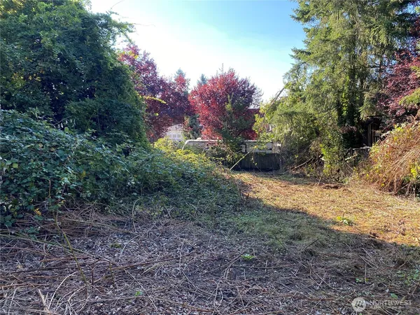 a view of a yard with a tree