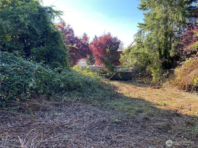 a view of a yard with a tree