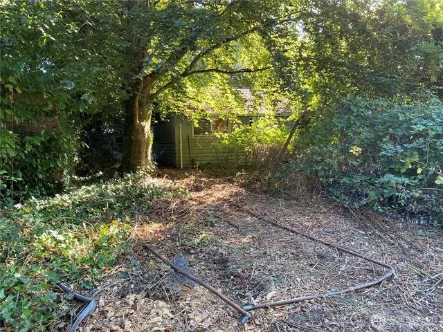 a view of a house with a tree