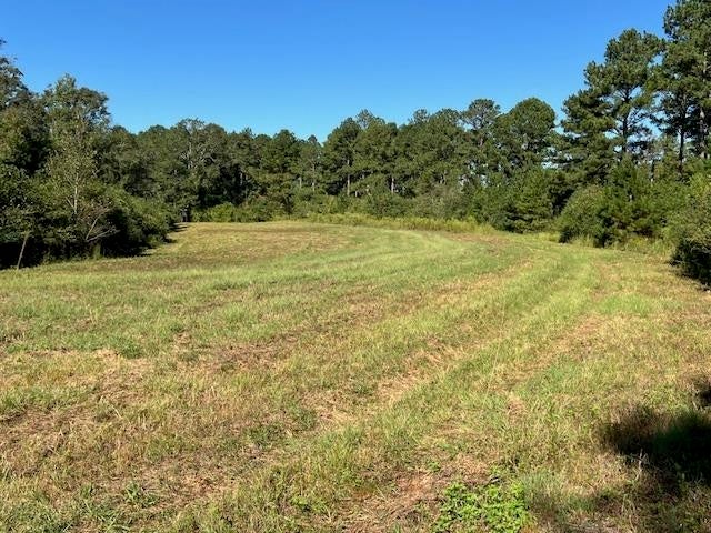 27-ac Babbie Road Andalusia, AL 36421 - Photo 1 of 35 Gallery Image 1