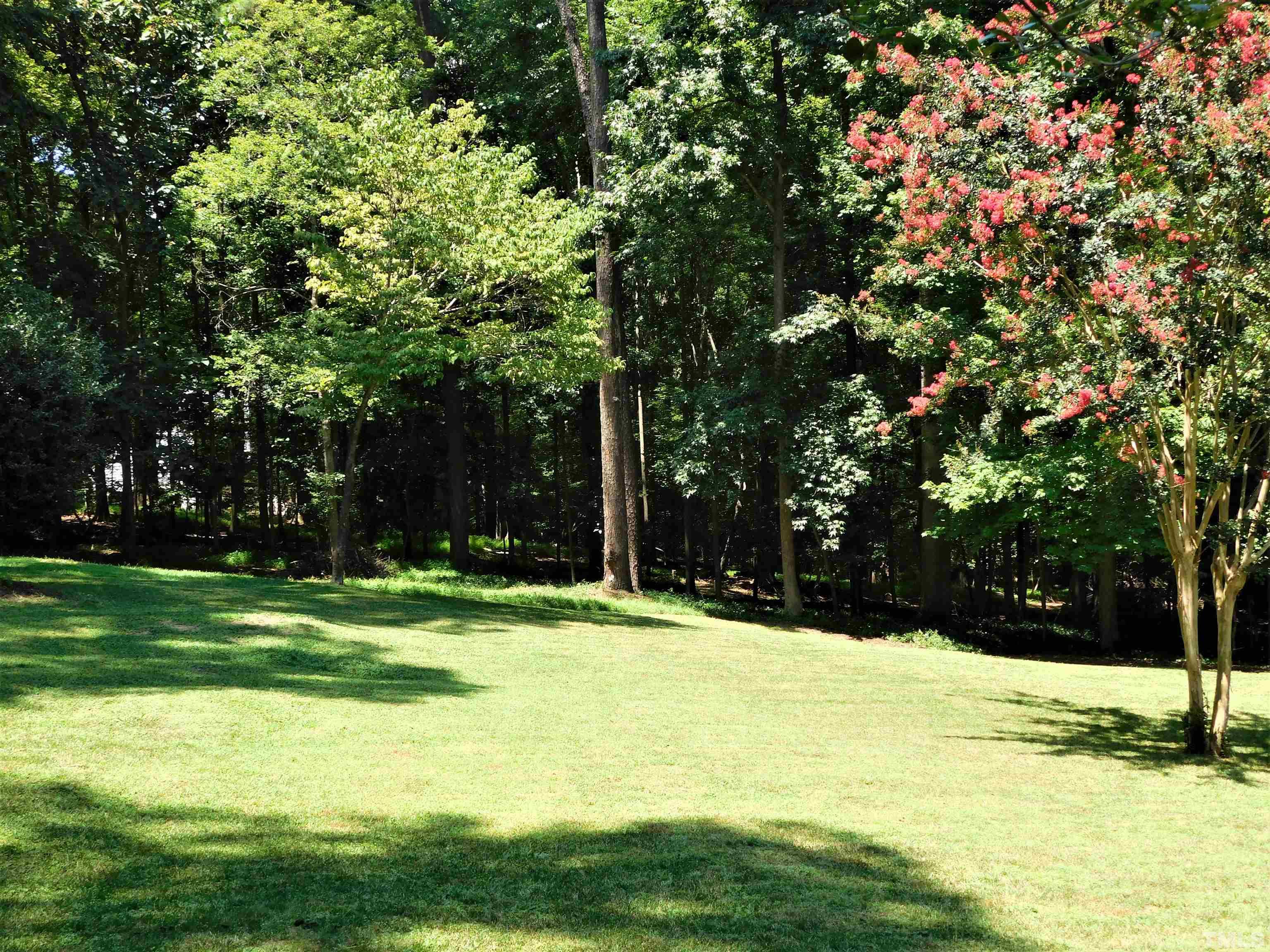 11417 Pacesferry Drive Raleigh, NC 27614 - Photo 30 of 39 a yard with a fountain and trees