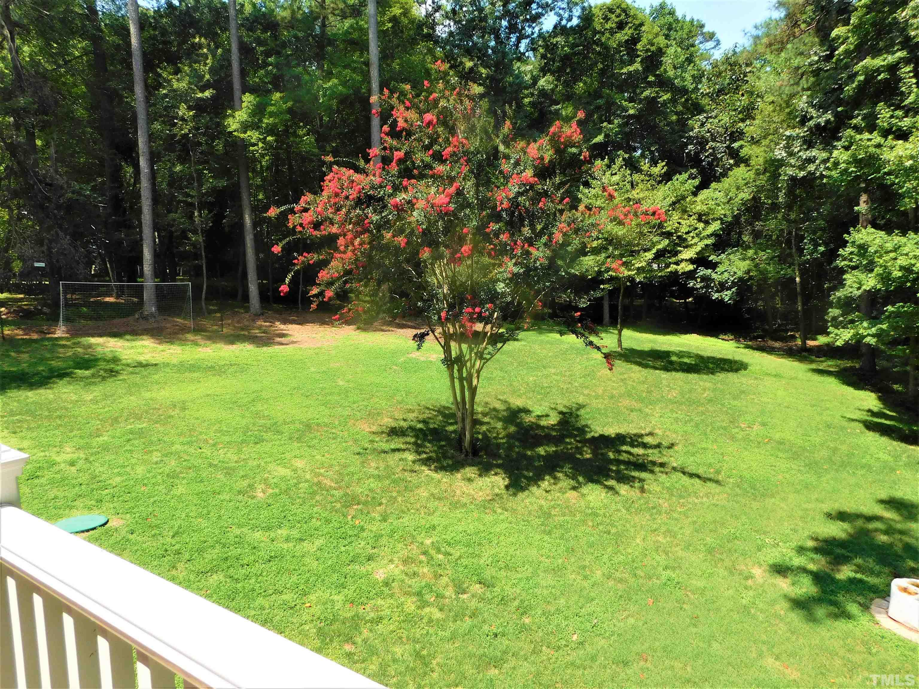 11417 Pacesferry Drive Raleigh, NC 27614 - Photo 6 of 39 a backyard of a house with lots of green space