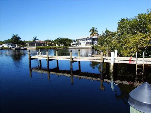 a view of a field with a tree