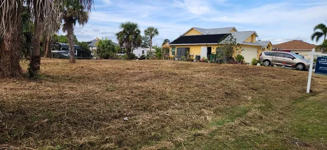 a view of a yard with a tree