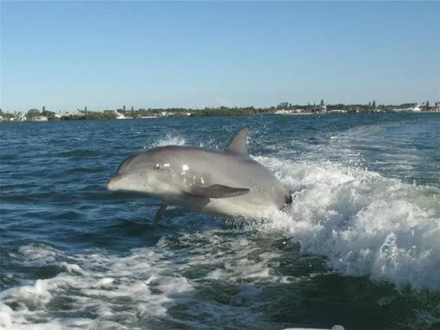 $75,000 | 2539 Quail Terrace, Port Charlotte, FL 33981