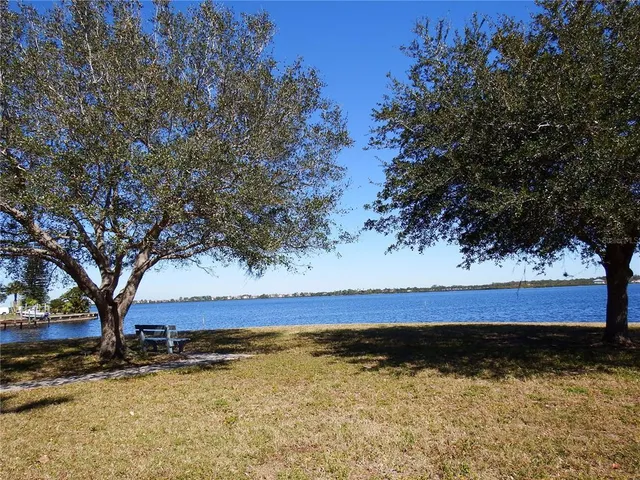 a view of a park with palm trees