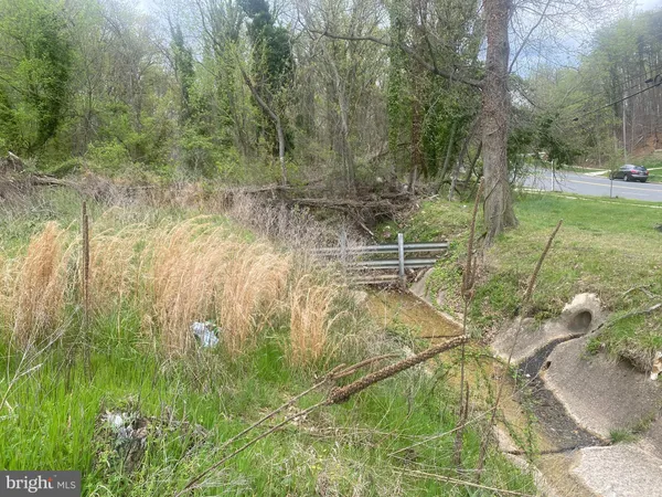 a view of yard with green space